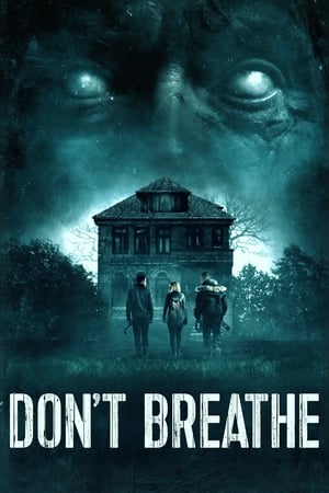 Don't Breathe (2016) Hindi Dual Audio 720p BluRay [850MB]