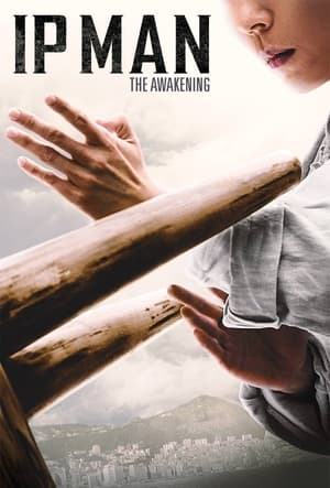 Ip Man: The Awakening (2022) Hindi Dual Audio HDRip 720p – 480p