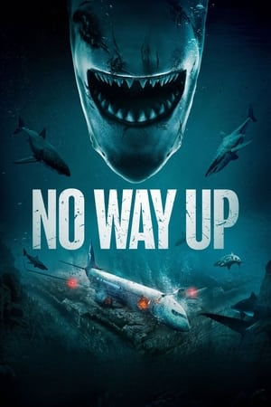 No Way Up (2024) Hindi Dual Audio HDRip 720p – 480p – 1080p